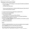 Isi gourmetsifoni 0,5L